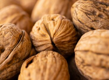 US Still Top Supplier Of Tree Nuts To EU