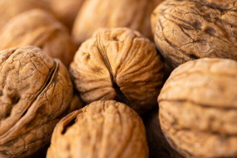 US Still Top Supplier Of Tree Nuts To EU