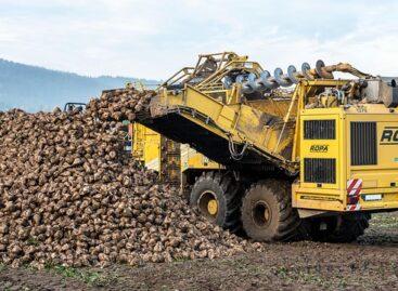 The sugar beet processing campaign has begun at Magyar Cukor Zrt.