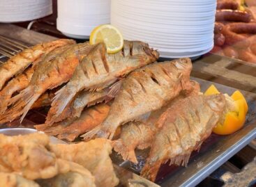 Continues to promote fish consumption