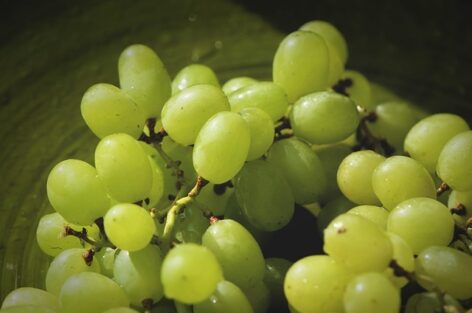 Consumer demand for table grapes is growing significantly