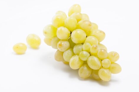 Consumer demand for table grapes is growing significantly