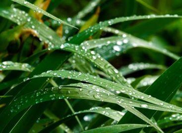 Agrometeorology: Drought is only slowly easing in the Great Plain