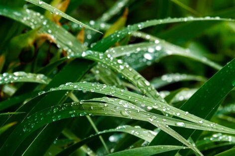 Agrometeorology: Drought is only slowly easing in the Great Plain