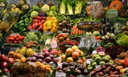 The 3rd Open Markets Day will be held at 22 locations across the country