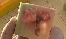 Valószínűleg a létező legszebb japán édesség – A nap videója