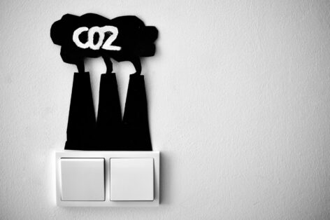 A new era in the carbon credit market: the end of greenwashing