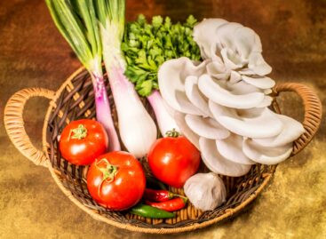 The Chamber of Agriculture expects the domestic mushroom market to stabilize in the coming months