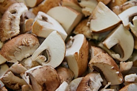 A new Hungarian development utilizes mushroom production waste