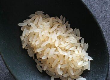 Stricter rules needed to protect European rice production
