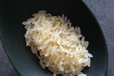 Stricter rules needed to protect European rice production