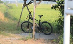 BalatonBike365: rekordforgalom a balatoni bringás turizmusban