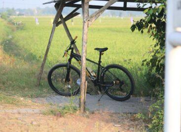 BalatonBike365: record traffic in Lake Balaton cycling tourism