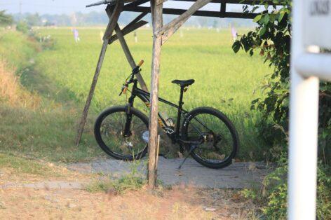 BalatonBike365: record traffic in Lake Balaton cycling tourism
