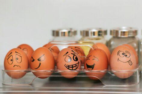 Egg market 2025: rising prices, declining production and new export opportunities