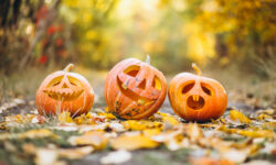 Halloween Fuels Pumpkin And Sweet Sales In Europe