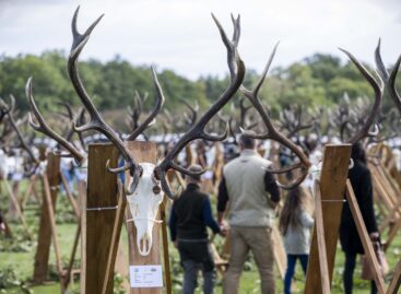 Hungarian wildlife management is at the forefront of the world