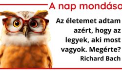(HU) A nap mondása