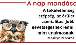 A nap mondása