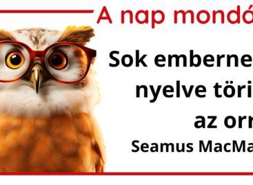 A nap mondása