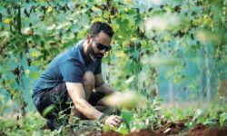 Könnyít az Agrárminisztérium az Agro-ökológiai Program feltételein