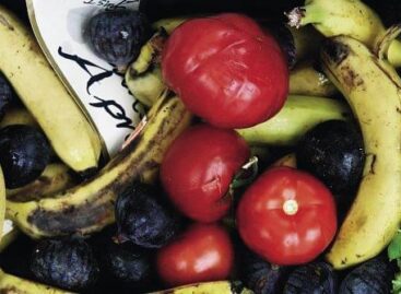 Food waste in Hungary has dropped by a third in eight years