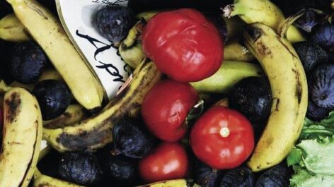 Food waste in Hungary has dropped by a third in eight years