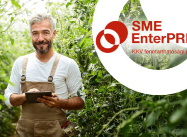 Fenntarthatóságért összesen 15 millió forint – Íme a Generali EnterPRIZE győztesei