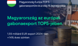A TOP5 exportőr között vagyunk Európában, a búza és a kukorica hajtják a kivitelünket