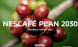 A Nescafé már 2024-ben elérte a 2025-re kitűzött regeneratív mezőgazdasági céljait