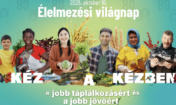 Élelmezési világnap 2025 – 80 éves a FAO