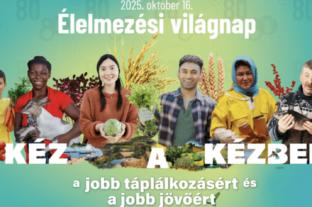 Élelmezési világnap 2025 – 80 éves a FAO