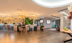 Mercure is the International Brand of the Year at the European Franchise Association