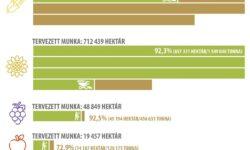 The average yield of plums and apples also decreased this year