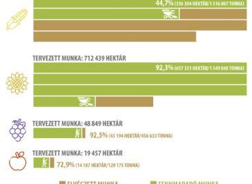 Csökkent a szilva és az alma termésátlaga is az idén