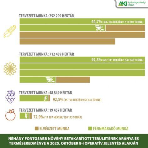 Csökkent a szilva és az alma termésátlaga is az idén