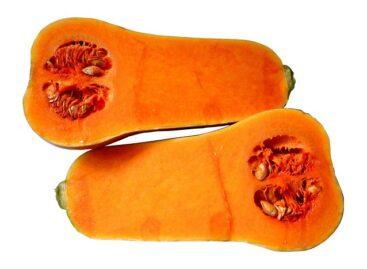 More and more farmers see opportunities in pumpkin production