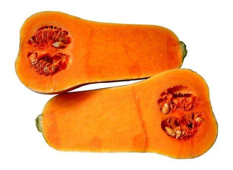 More and more farmers see opportunities in pumpkin production