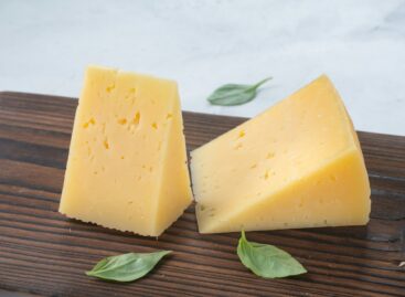 New Trappist regulation brings more uniform quality