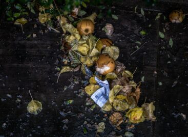 Hungarians say food waste is as big a problem as climate change