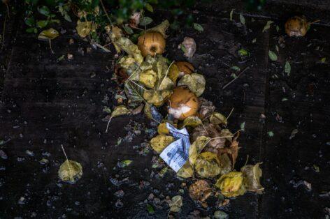 Hungarians say food waste is as big a problem as climate change