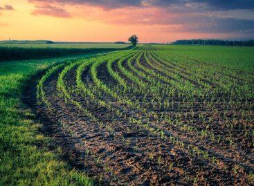 Hungaromet: mild weather helps autumn sowing
