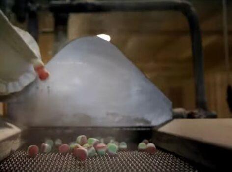 Tényleg az vagy, amit megeszel? – A nap videója