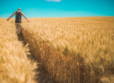 European Commission to promote generational renewal in European agriculture