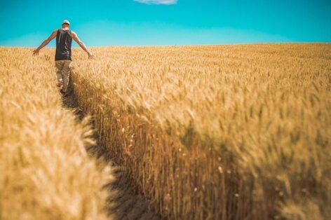 European Commission to promote generational renewal in European agriculture