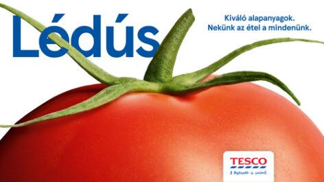 Nekünk az étel a mindenünk” – üzeni a Tesco kiváló alapanyagokra fókuszáló új kampánya