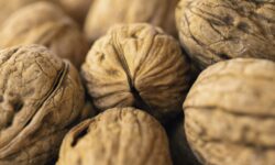 A növényi fehérjeforrások iránti kereslet hajtja a diófélék európai piacát