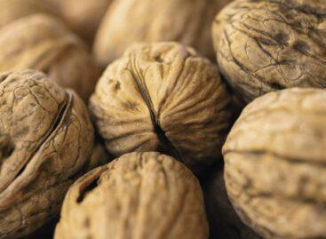 NAV raided the parking lot of the Wholesale Market – several tons of unmarked goods were found