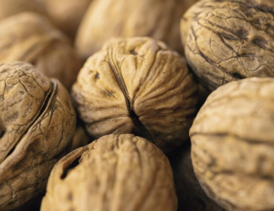 A növényi fehérjeforrások iránti kereslet hajtja a diófélék európai piacát