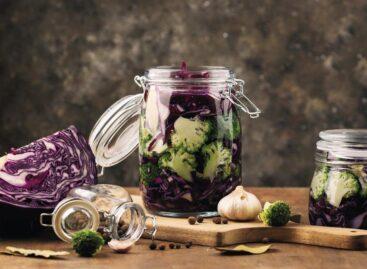 Safe vegetable fermentation